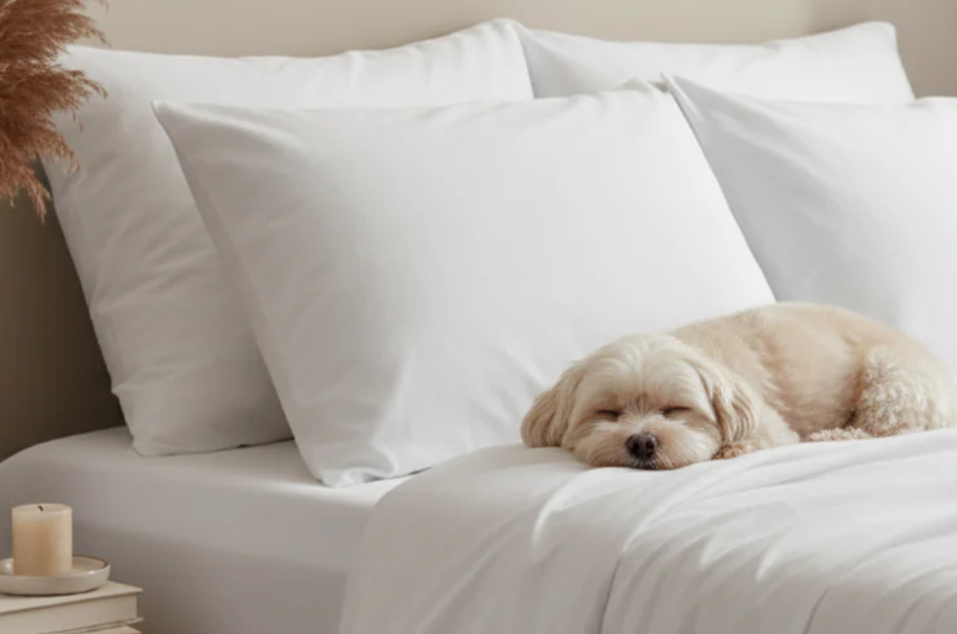 Are 1000 Thread Count Sheets Really Worth It?